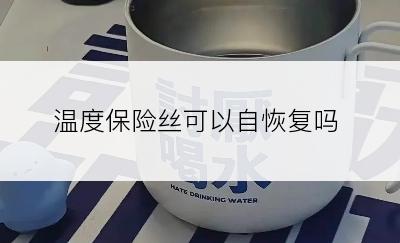 温度保险丝可以自恢复吗