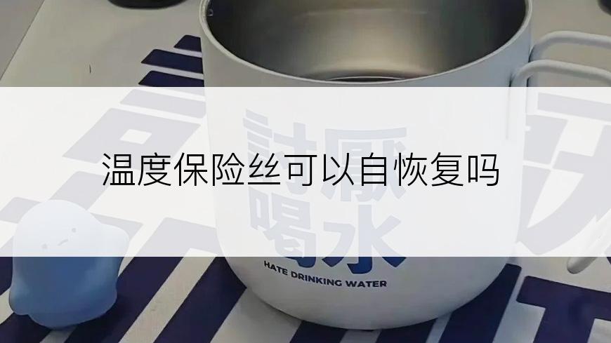 温度保险丝可以自恢复吗