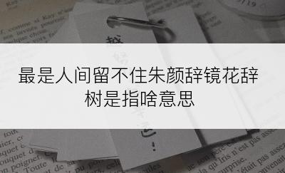 最是人间留不住朱颜辞镜花辞树是指啥意思