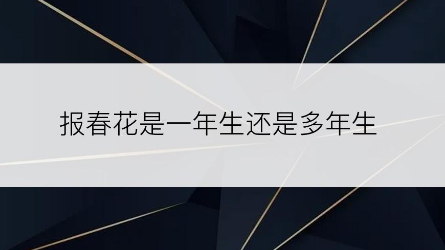 报春花是一年生还是多年生