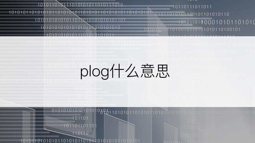 plog什么意思