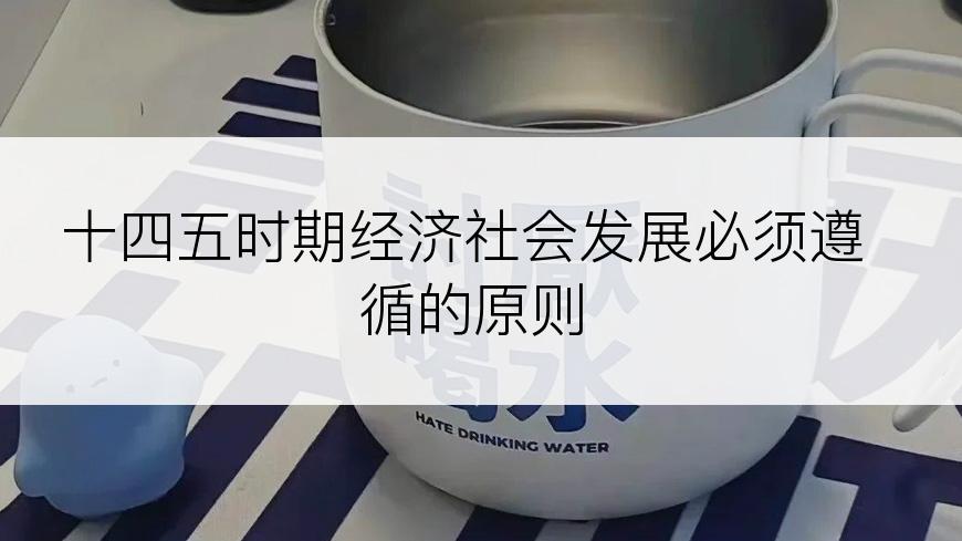 十四五时期经济社会发展必须遵循的原则