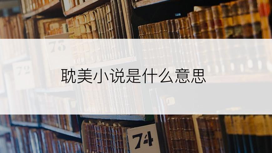 耽美小说是什么意思