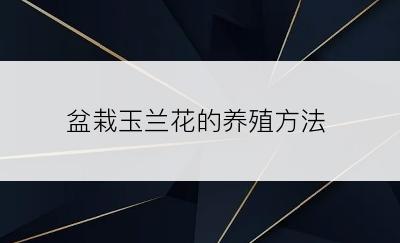 盆栽玉兰花的养殖方法