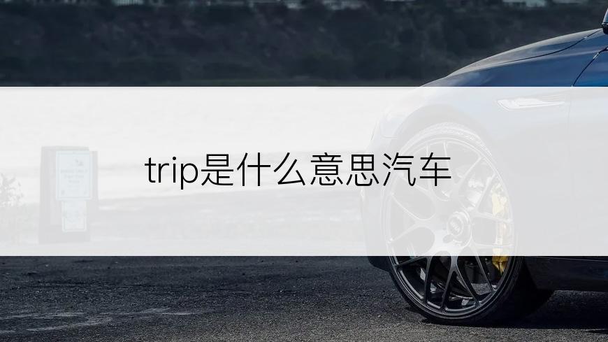 trip是什么意思汽车