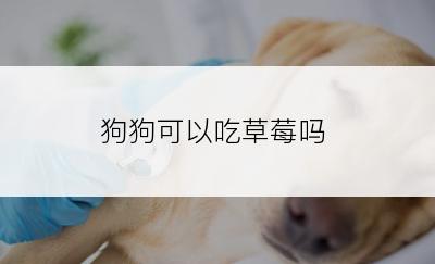 狗狗可以吃草莓吗