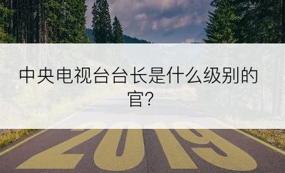 中央电视台台长是什么级别的官？