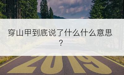 穿山甲到底说了什么什么意思？