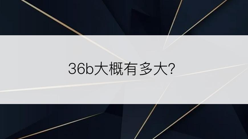 36b大概有多大？