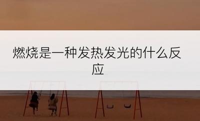 燃烧是一种发热发光的什么反应