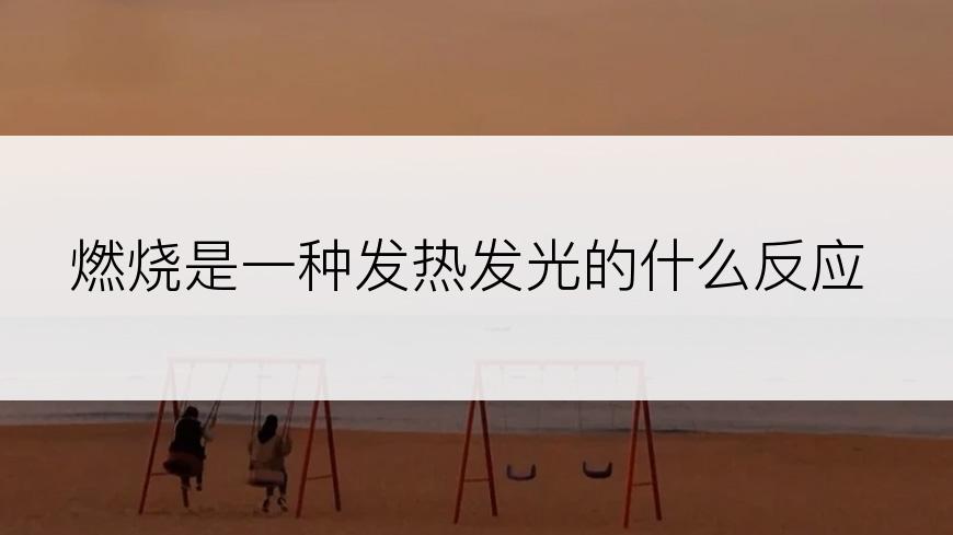 燃烧是一种发热发光的什么反应