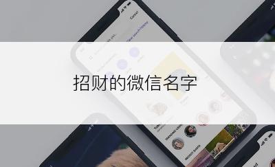 招财的微信名字