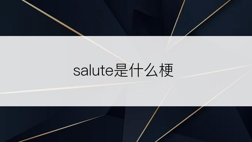 salute是什么梗