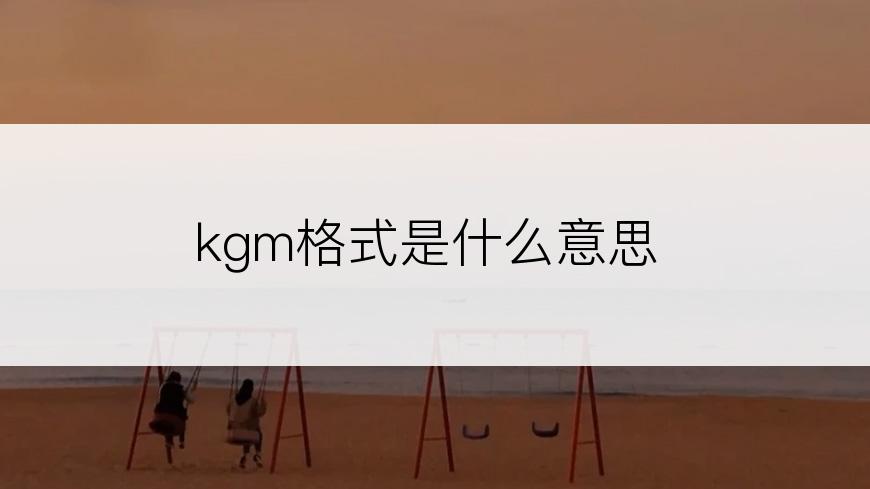 kgm格式是什么意思