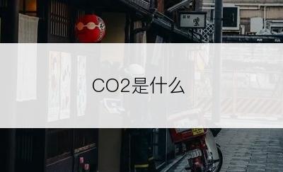 CO2是什么