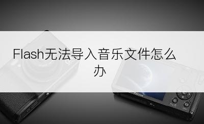 Flash无法导入音乐文件怎么办