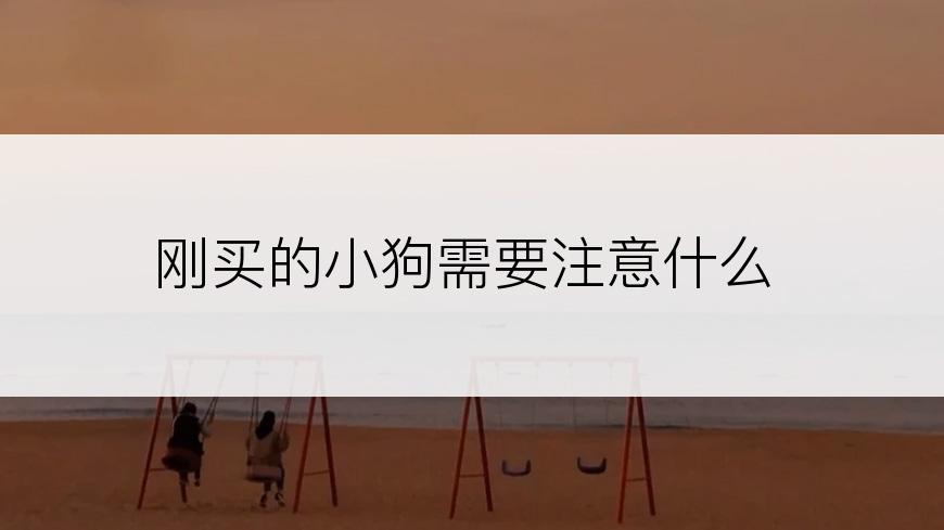 刚买的小狗需要注意什么