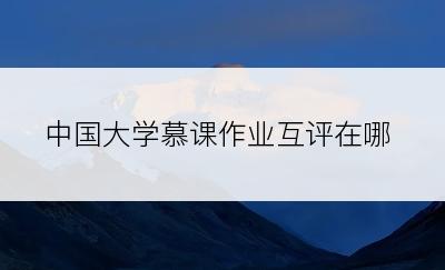 中国大学慕课作业互评在哪