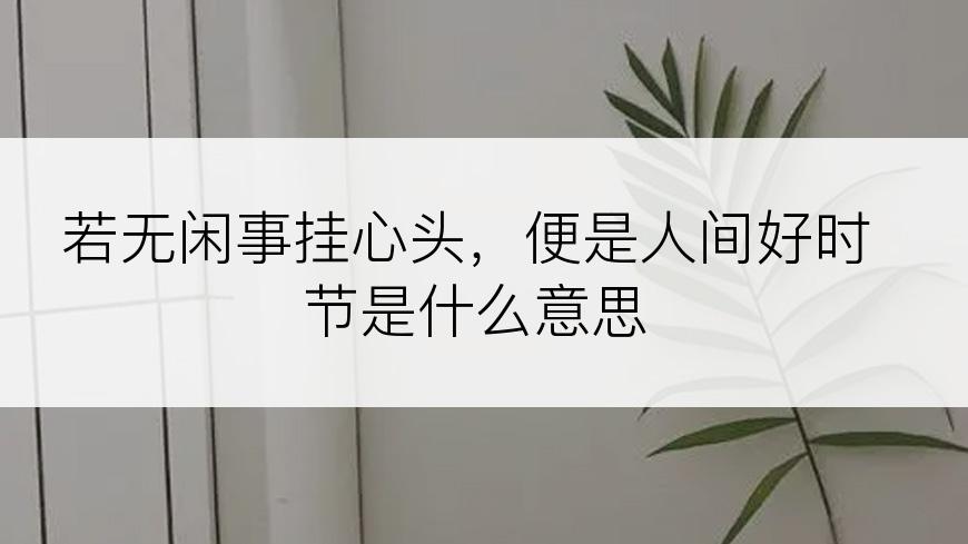 若无闲事挂心头，便是人间好时节是什么意思