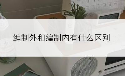 编制外和编制内有什么区别