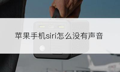 苹果手机siri怎么没有声音