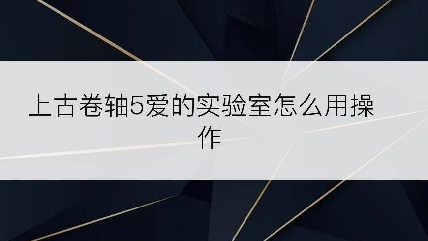 上古卷轴5爱的实验室怎么用操作