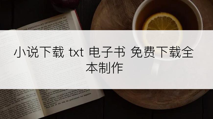 小说下载 txt 电子书 免费下载全本制作