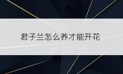 君子兰怎么养才能开花