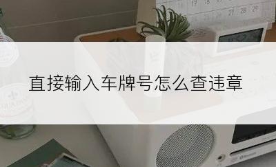 直接输入车牌号怎么查违章