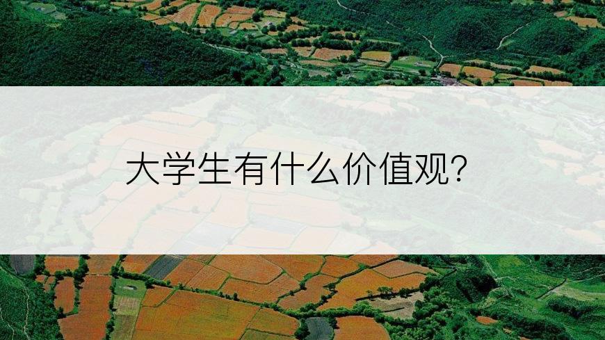 大学生有什么价值观？