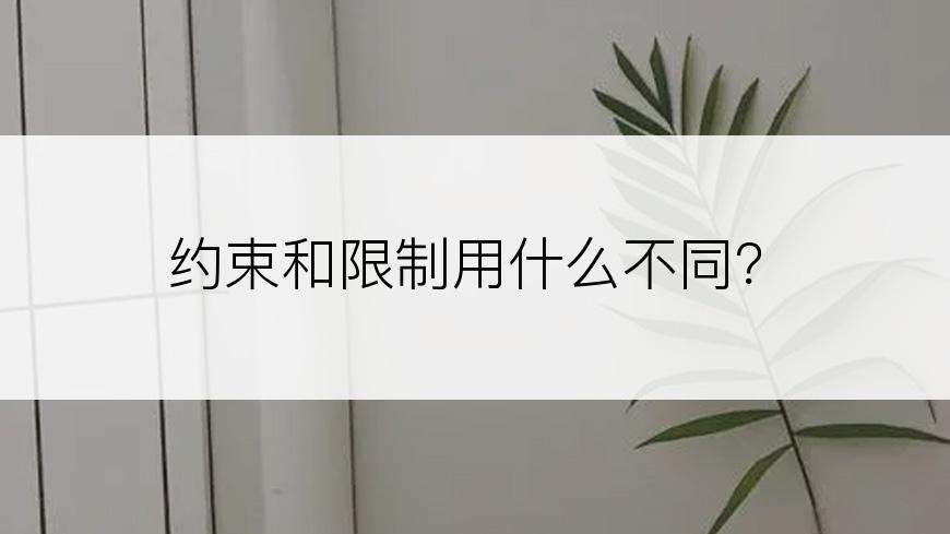 约束和限制用什么不同？