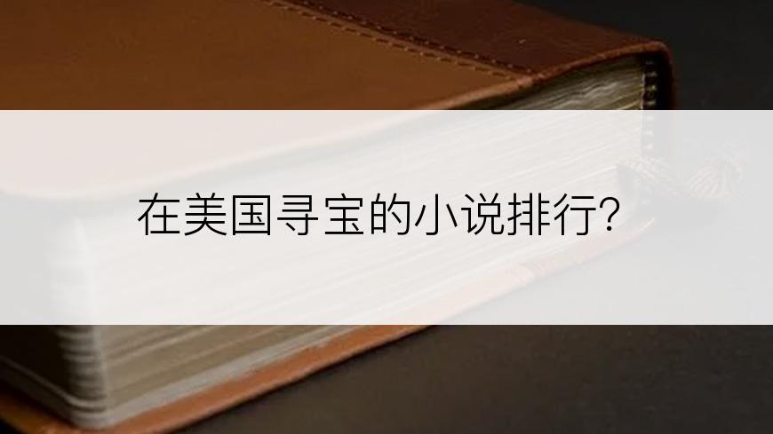 在美国寻宝的小说排行？