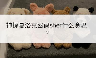 神探夏洛克密码sher什么意思？