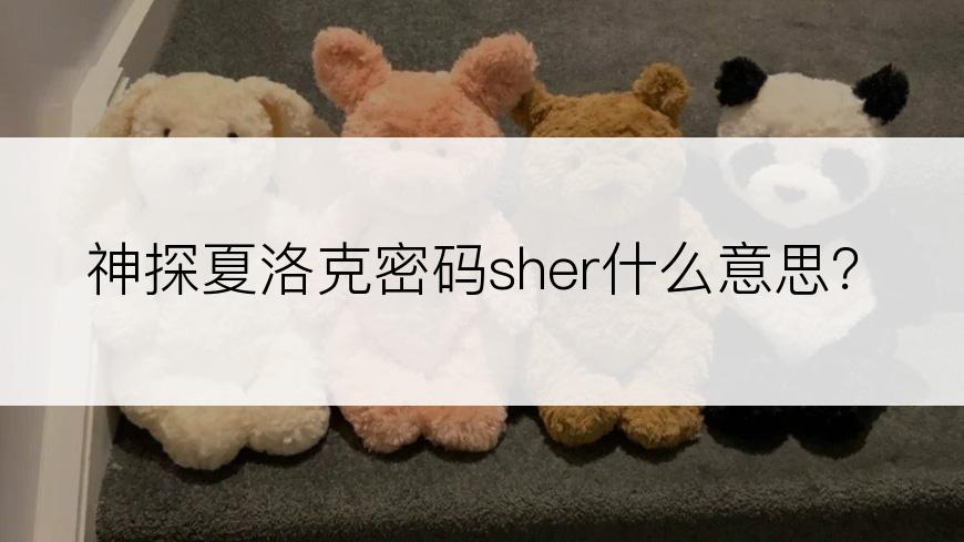 神探夏洛克密码sher什么意思？