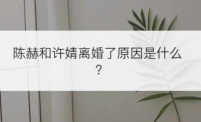 陈赫和许婧离婚了原因是什么？