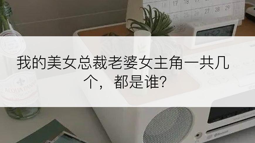 我的美女总裁老婆女主角一共几个，都是谁？