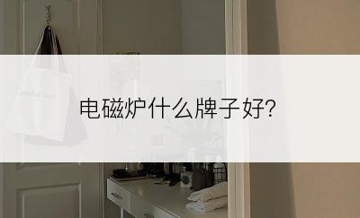 电磁炉什么牌子好？