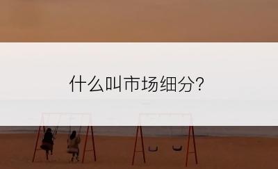 什么叫市场细分？