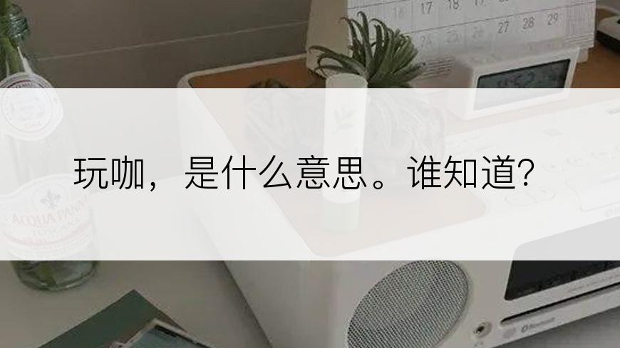 玩咖，是什么意思。谁知道？