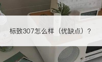 标致307怎么样（优缺点）？