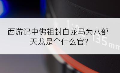 西游记中佛祖封白龙马为八部天龙是个什么官？