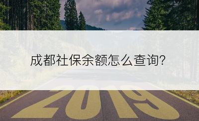 成都社保余额怎么查询？