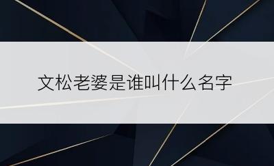 文松老婆是谁叫什么名字