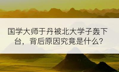 国学大师于丹被北大学子轰下台，背后原因究竟是什么？