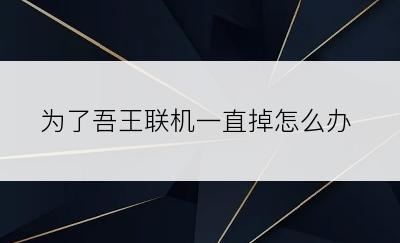 为了吾王联机一直掉怎么办