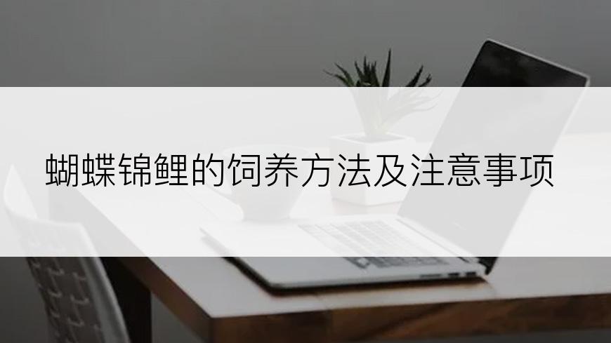 蝴蝶锦鲤的饲养方法及注意事项