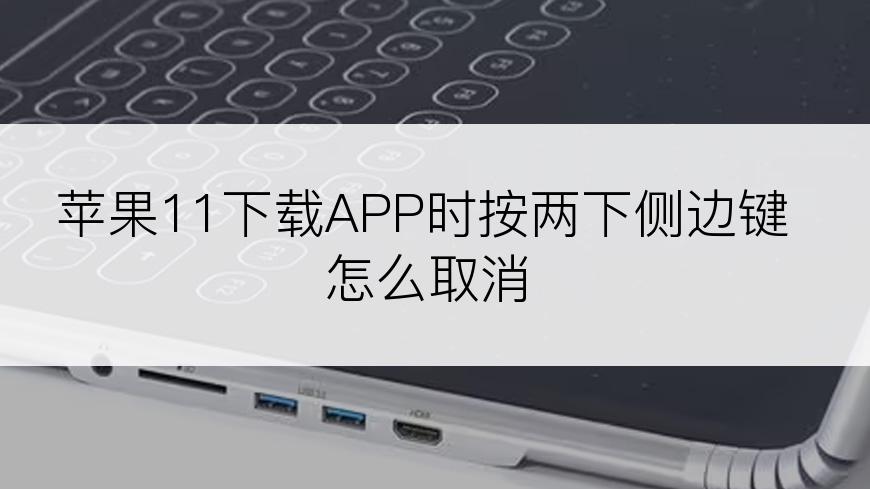 苹果11下载APP时按两下侧边键怎么取消