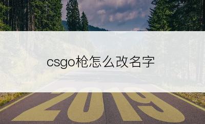 csgo枪怎么改名字