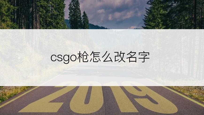 csgo枪怎么改名字