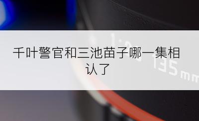 千叶警官和三池苗子哪一集相认了